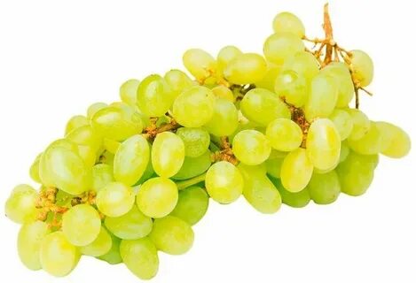 Виноград кишмиш белый