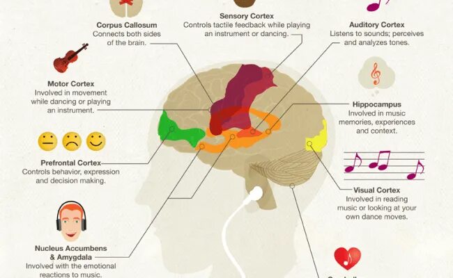 Песни про мозг. Мозг инфографика. Музыка и мозг. Music and Brain.