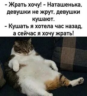 Песня хочу жрать целый день лежать текст