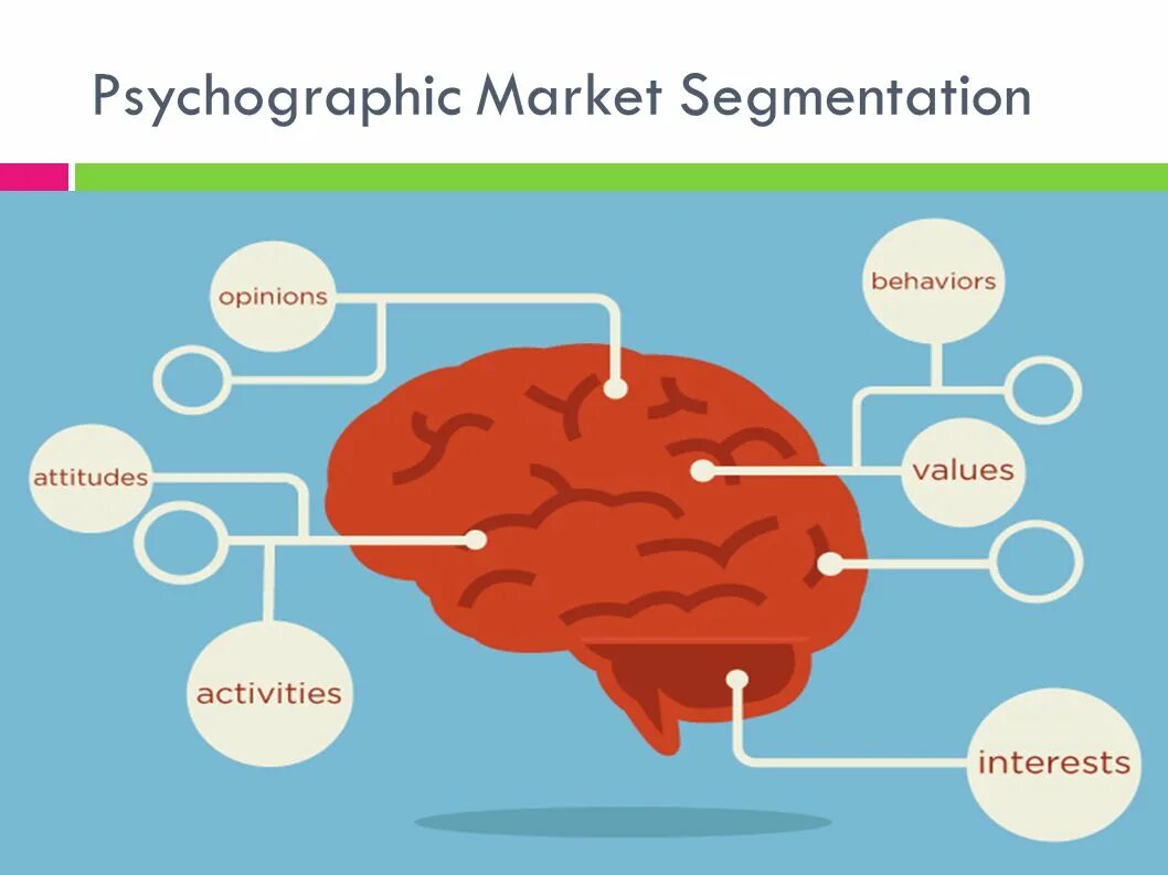 Brain information. Мозг инфографика. Инфографика мозг человека. Мозг психология. Мозг мышление.