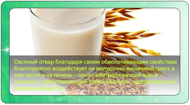 Очистка печени овсом в домашних условиях. Отвар овса для очищения печени. Очистка печени овсом. Овес чистит печень. Овёс для печени.