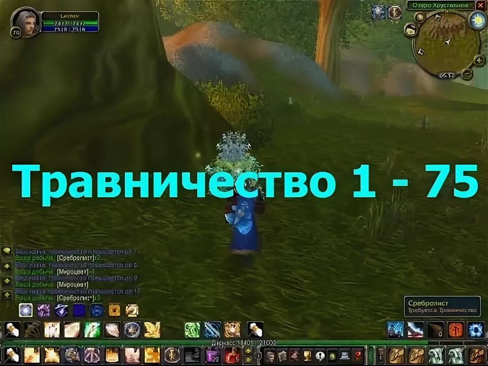 3. 3. Карта вов 7. Wow 3. Травничество гайд альянс.