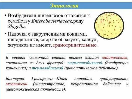 Возбудитель не относится к