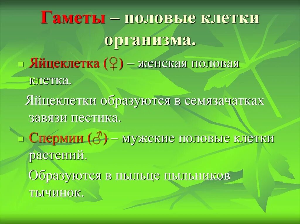 Гамета это. Мужские гаметы у растений. Женские клетки растений. Женские половые клетки у растений.