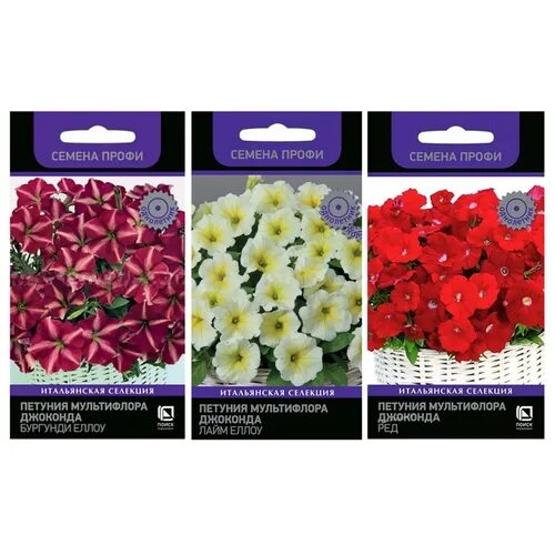 джоконда еллоу. петуния джоконда бургунди еллоу. джоконда еллоу. петуния мультифлора джоконда. петуния капри голден.