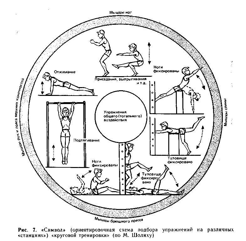 Метод круговой тренировки схема. Круговая тренировка по методу непрерывного упражнения. Схема символ круговой тренировки. Символ круговой тренировки по м Шолиху. Комплекс упражнений с использованием метода круговой тренировки