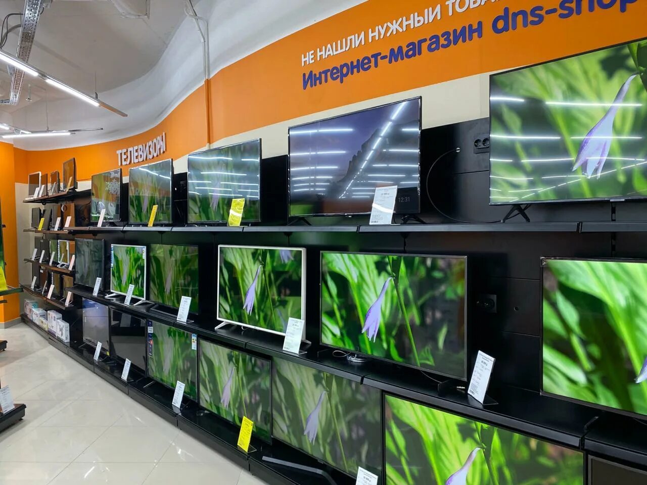 интернет лесной