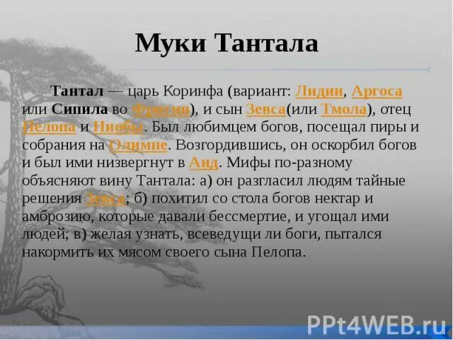 Миф тантал читать 5. Тантал сын зевса. танталовы муки миф. танталовы муки миф краткое. что такое муки тантала кратко.
