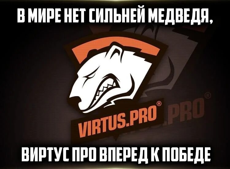 Зверя нет сильней. Нет сильней медведя зверя виртус про вперед к победе. виртус про вперед к победе. виртус про медведь. виртус про мем.
