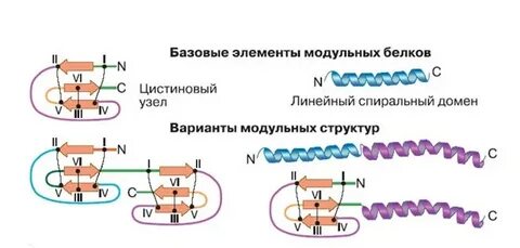 Формула узла