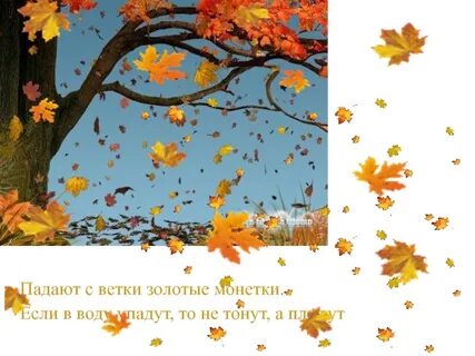 Падают с ветки золотые монетки ответ