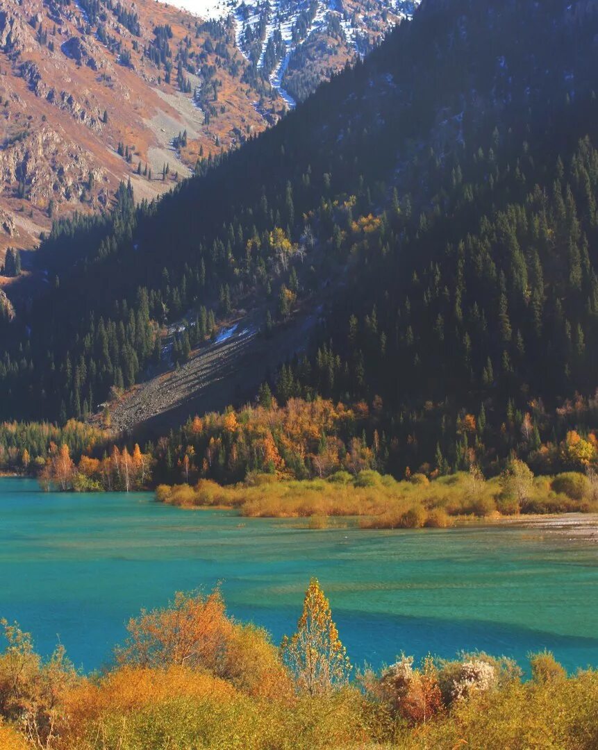 Природа каз