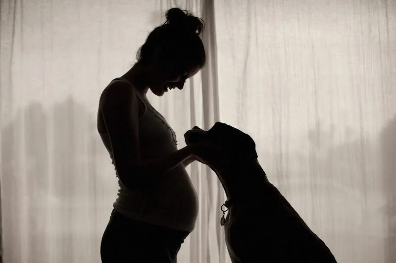 Фотосессия беременной собаки. Фотосессия беременных черно белое. Фотосессия для беременных с собакой.