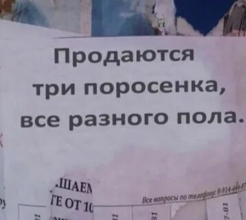 Продано 3 4 от имевшихся
