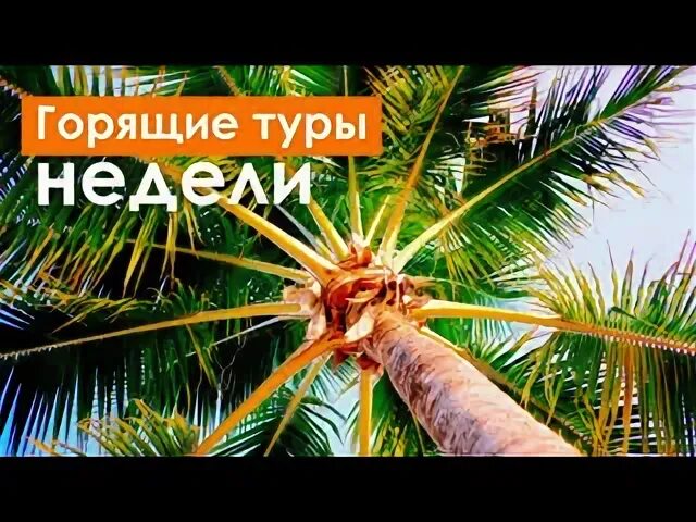 Купить путевку на неделю. Недельный тур. Туры на неделю. Тур на неделю ГУЛИНАН.