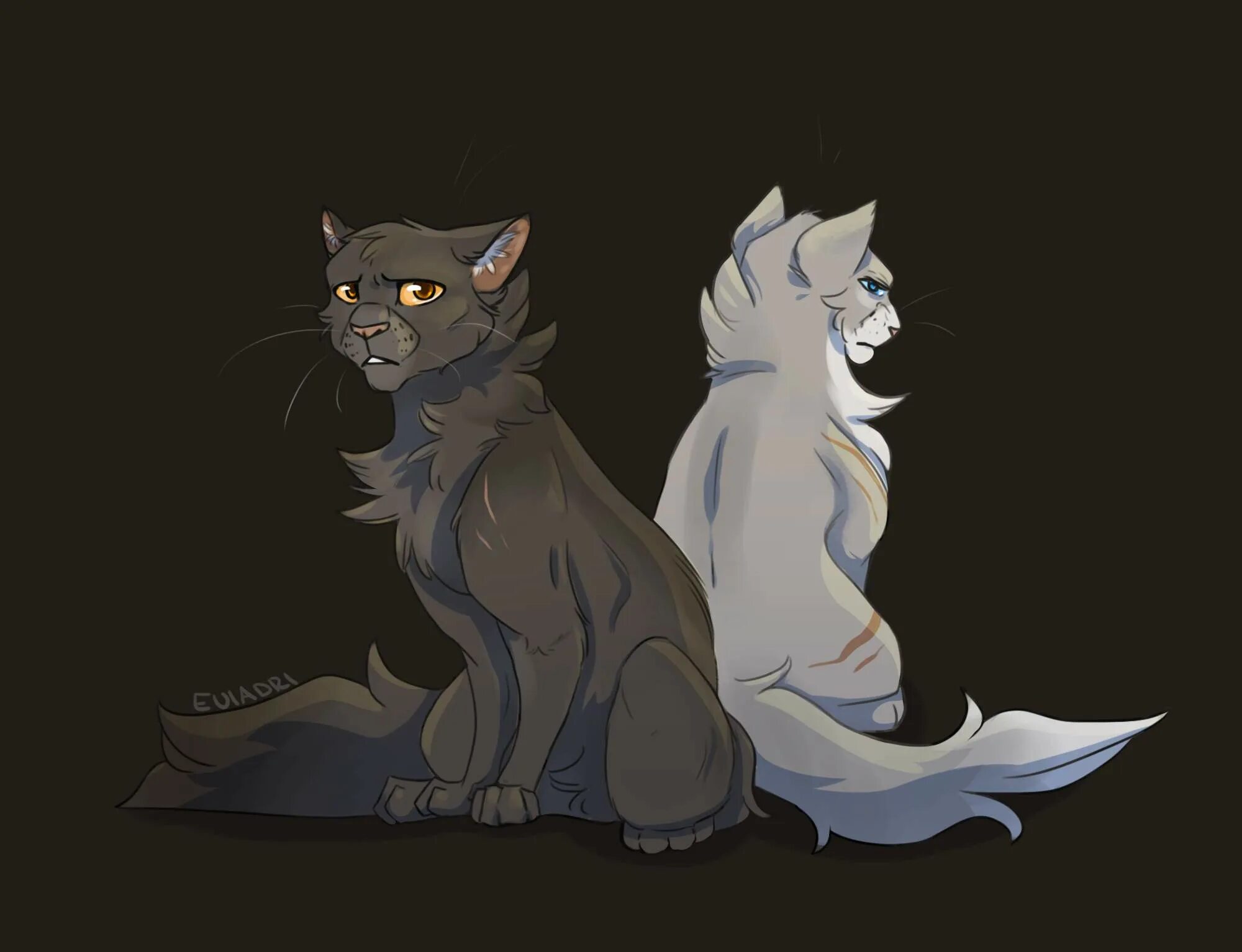 коты воители gray wing. серое крыло коты. коты воители пышноус. коты воители серое крыло. сумеречный лес коты воители.