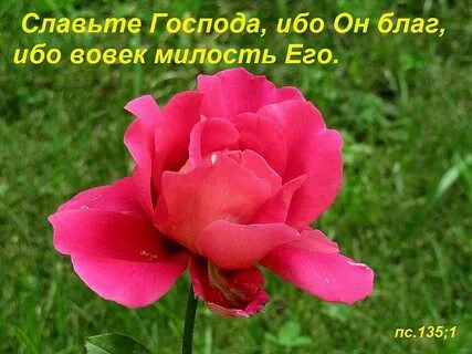 Господь славит