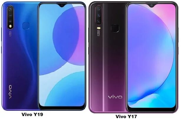 Vivo y36 256. Виво y17. Смартфон vivo v19. Смартфон Виво y 19. Вива 17 y.