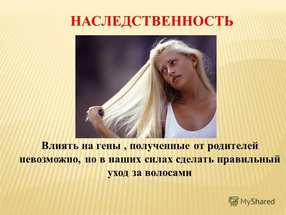 Термины и понятия генетики. Гены родителей. Специфический набор генов. Совокупность генов от родителей. Набор генов определенного организма.