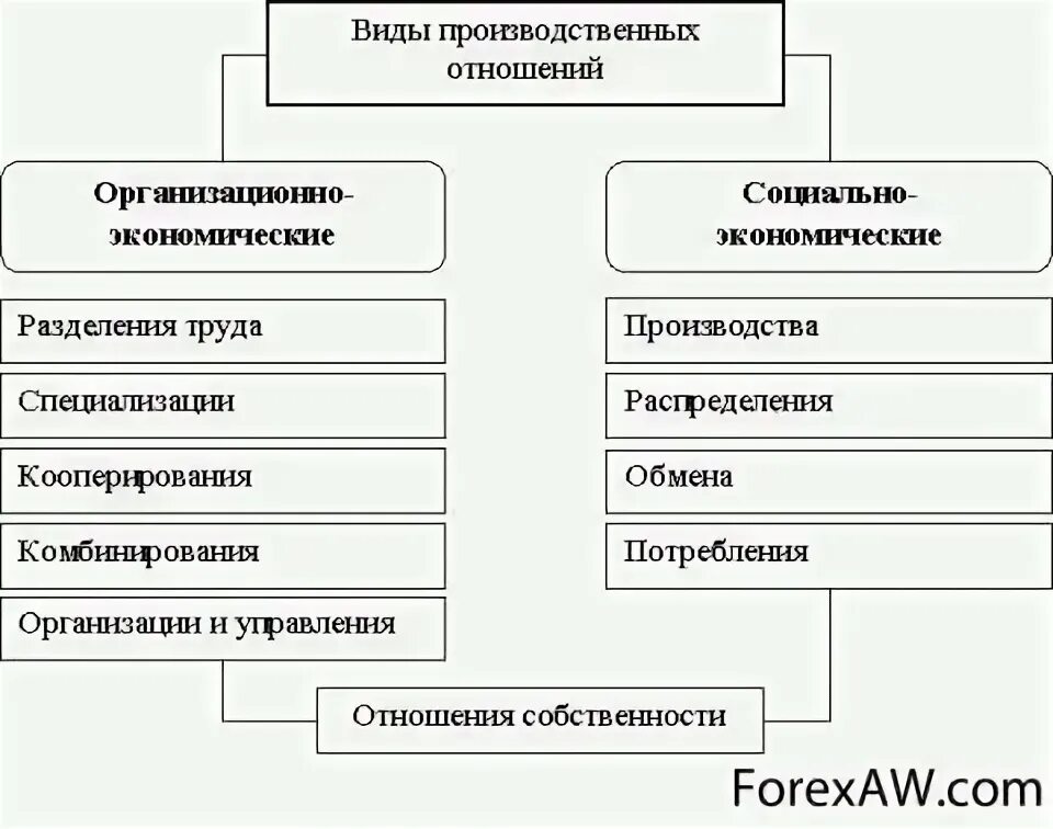 Современные социально экономические отношения. Основные системы производственных отношений. Структура производственных отношений в экономике. Виды экономических производственных отношений. Типы производственных отношений.