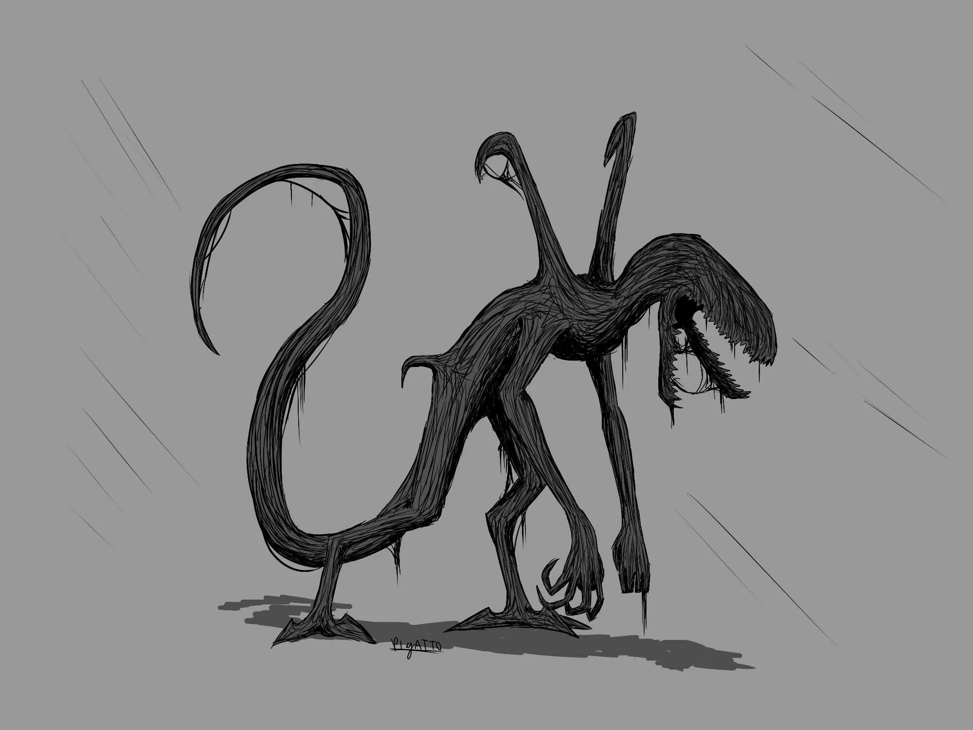 Scp копирование. Scp копирование