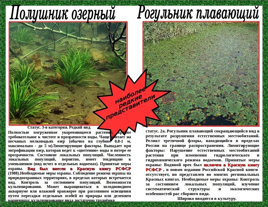 Режимы водоемов