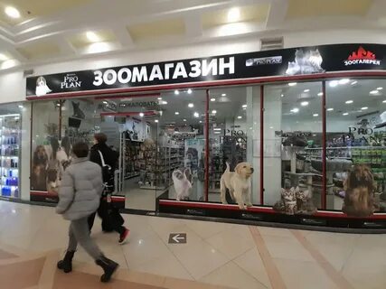Зоогалерея адрес