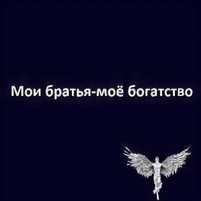 Крылатые братья. Мои братья мое богатство. Мой брат цитаты. Мои братья Мои Крылья. Мои братья самые лучшие.