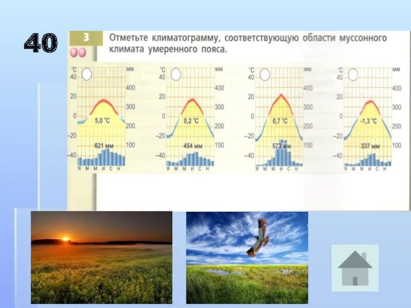 Климатограммы поясов россии 8 класс. Климатограммы России 8 класс. Климатограммы 8 класс география России. Климатограммы городов России. Климатограммы умеренного пояса России.