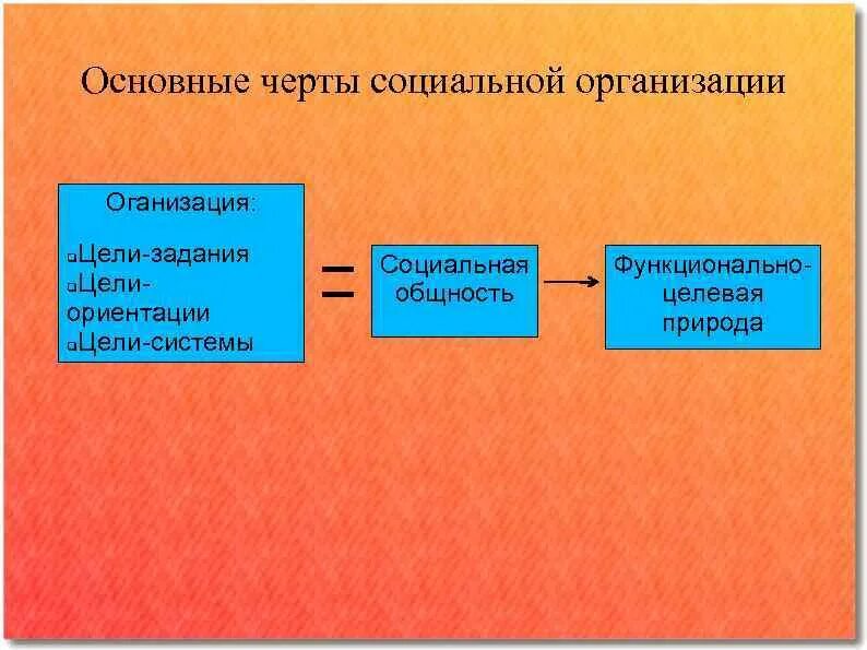 Черты социальных организаций. Основные черты организации. Общие черты организации. Черты социальной организации. Черты организации предприятия.