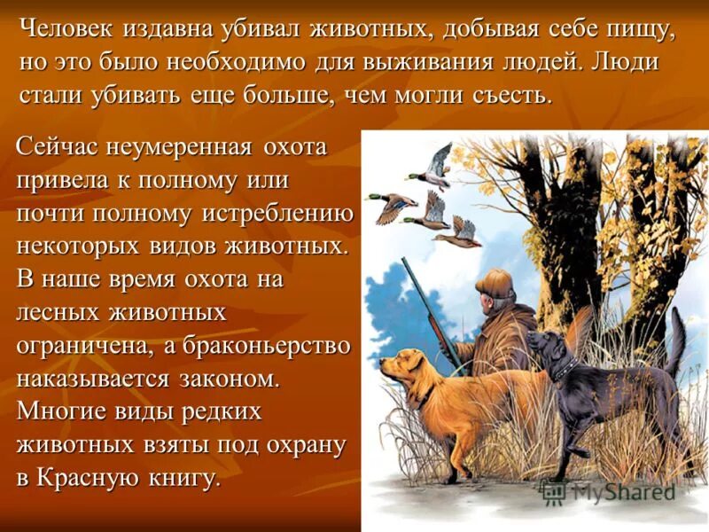 произведение на тему животные и природа