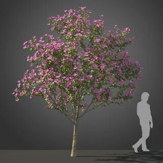 Tree 3d model