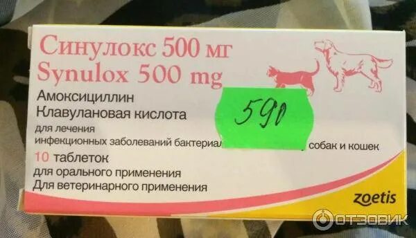 Синулокс дозировка. Синулокс для собак. Синулокс при цистите у кошек. Синулокс 500. Синулокс 500 мг для собак инструкция.