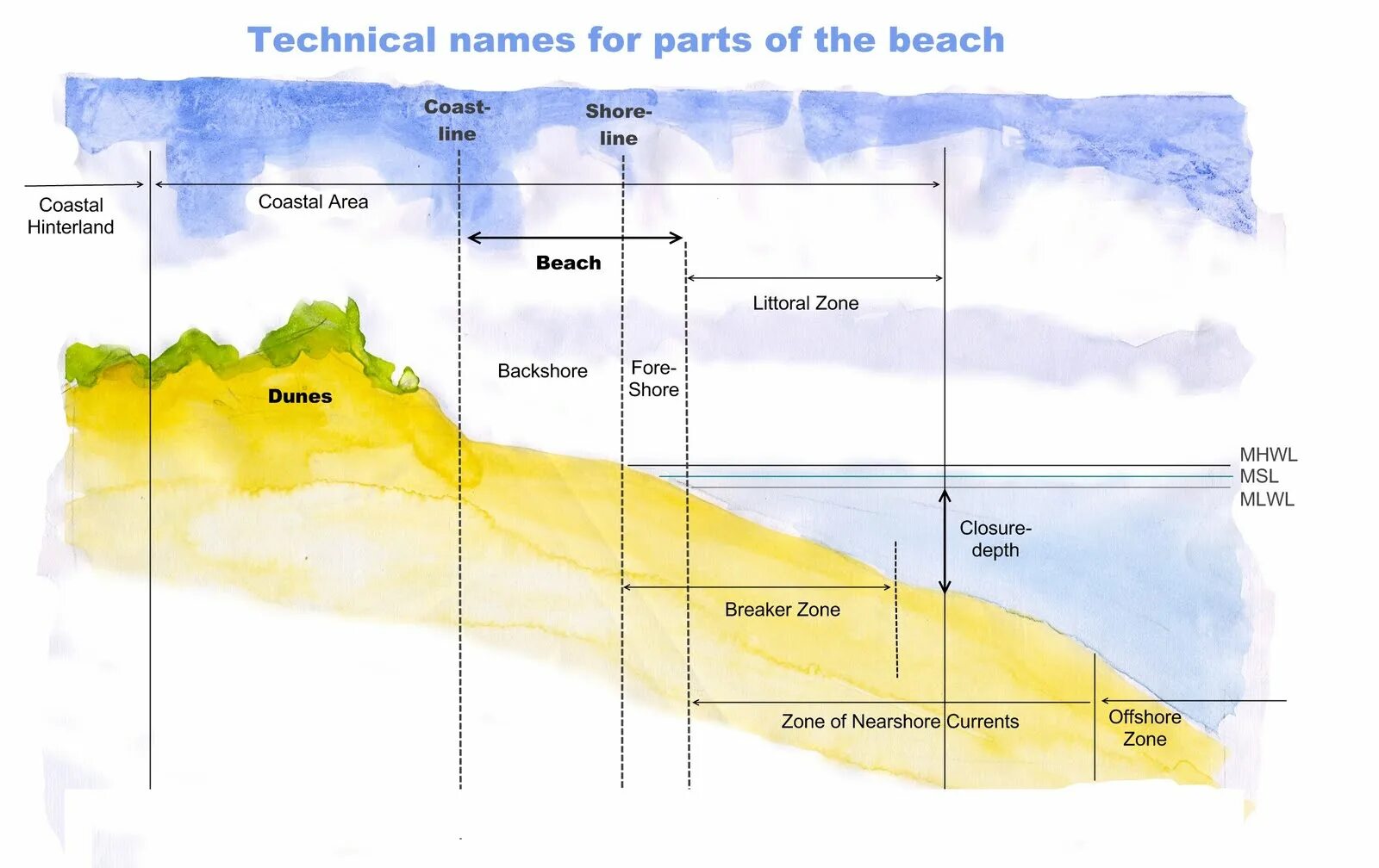 Шор переводы. Shore Coast разница. Beach Coast Shore разница. Coast Shore Bank разница. Coast Beach Shore difference.