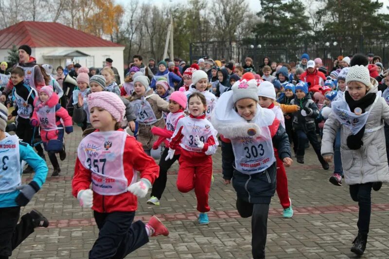 День черноземья. Марафон Мучкап Шапкино любо. Мучкап полумарафон. Мучкап хоккей. Мучкап праздники.