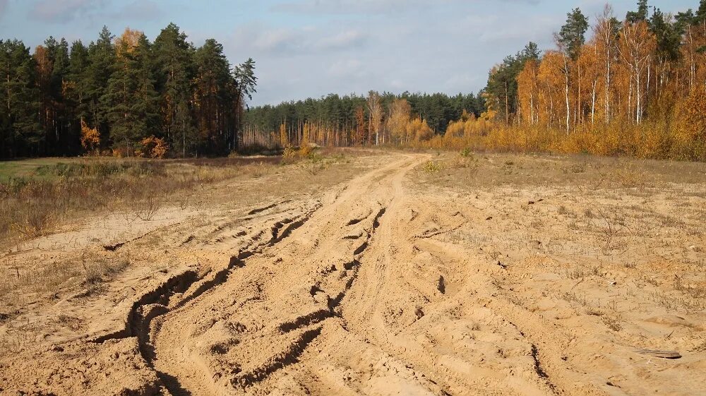 У просеки никитич осторожно выглянул из чащи. Грязная дорога. Грязная дорога в лесу. Грунтовая дорога в лесу. Грязная Лесная дорога.