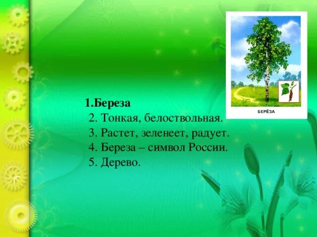 Синквейн береза. Синквейн на тему береза. Синквейн белая береза. Синквейн к слову береза 2 класс. Составить слово березка