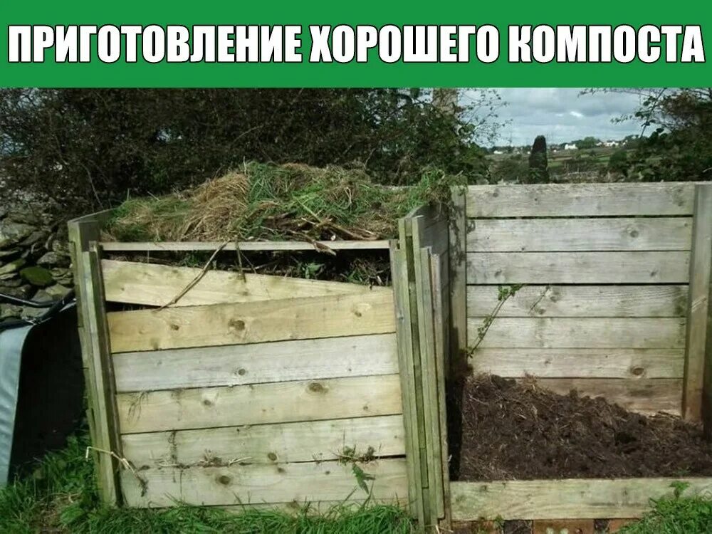Как получить перегной быстро