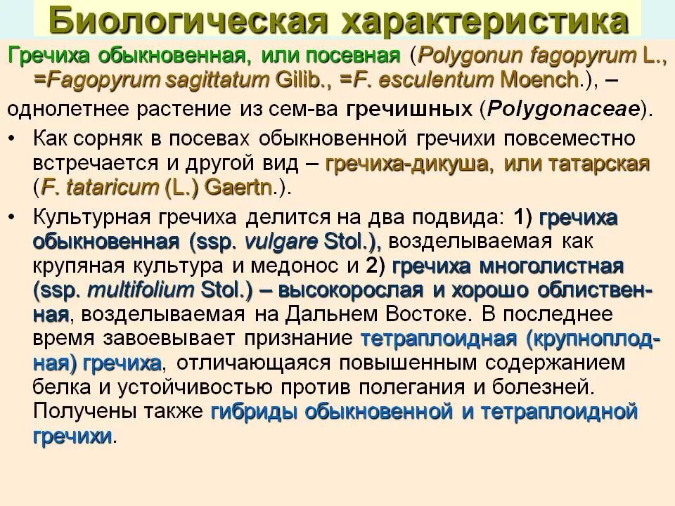 Особенности гречихи. Особенности гречихи