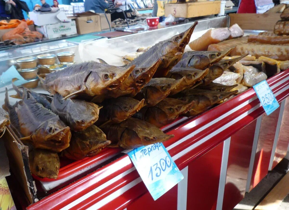 Купили на рынке рыбу. Рыбный рынок в Дагестане. Рыбный рынок Ульяновск. Рыбный рынок в Астрахани. Астраханский базар с рыбой.