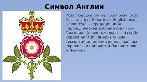Герб тюдоров алая и белая