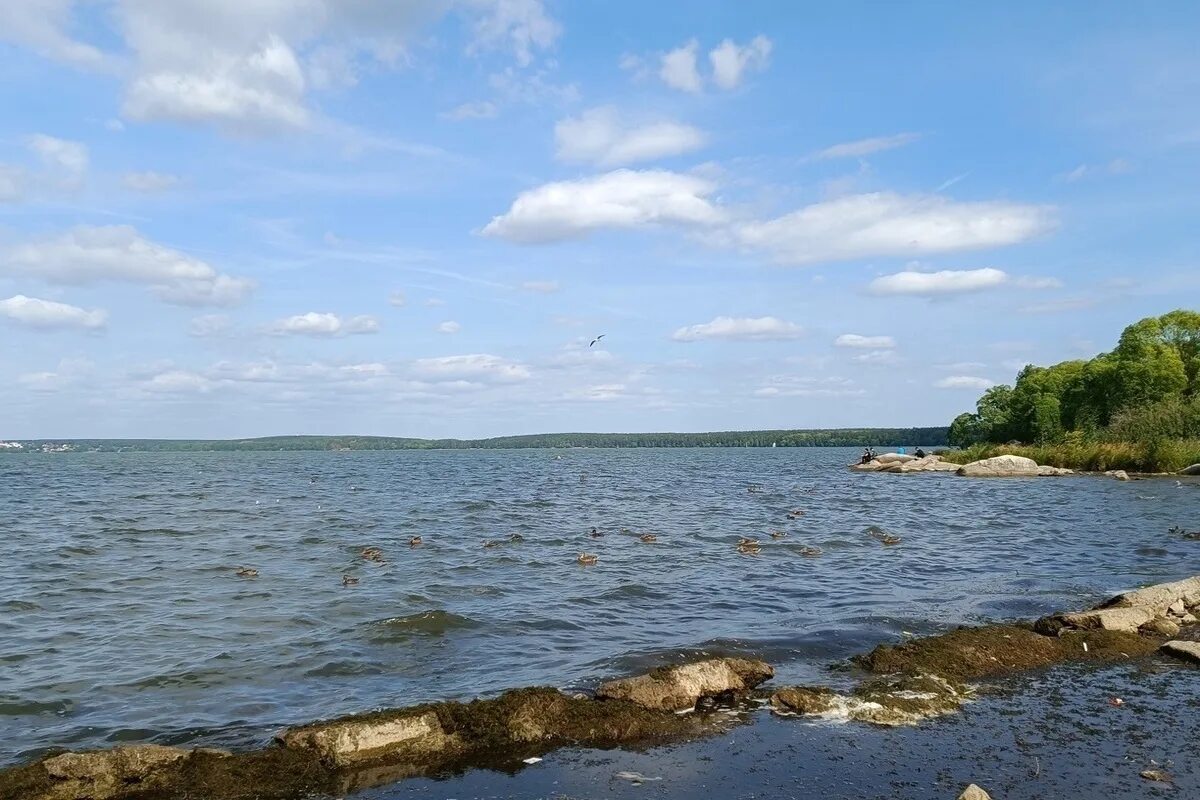 пляж пески екатеринбург шарташ. шарташское озеро екатеринбург. озеро шарташ. пляж шарташ екатеринбург. пляж на шарташе екатеринбург.