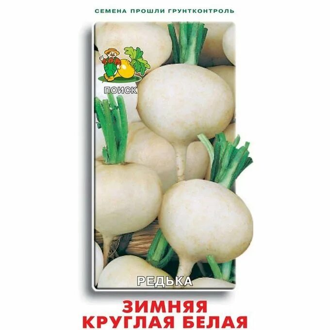 Семена редьки