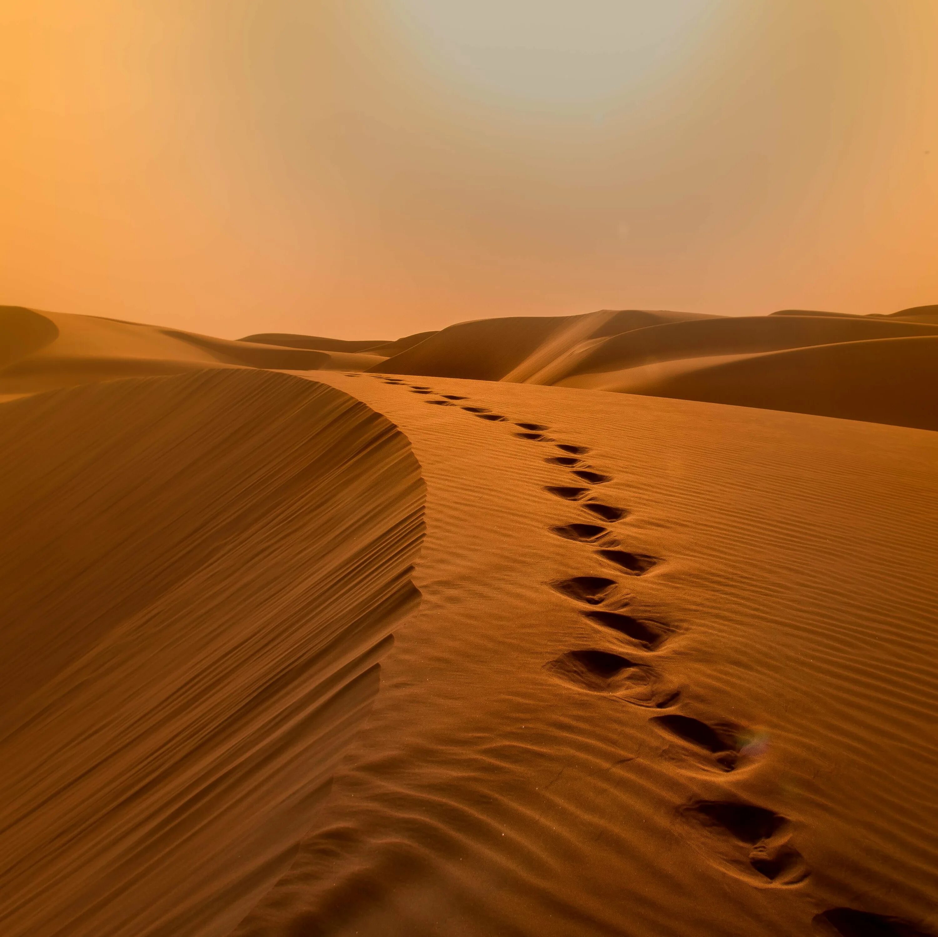 Оазис в арабской пустыне. Аравийская пустыня ОАЭ. Каменные пустыни Эрги. Аравийская пустыня климат. Арабский оазис