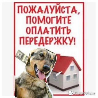 Поможешь оплатить