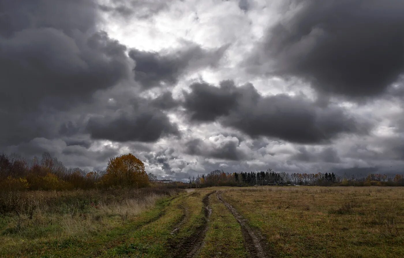 Низкими осенними тучами. Пасмурная осень. Пасмурное небо. Хмурая осень. Осеннее небо.