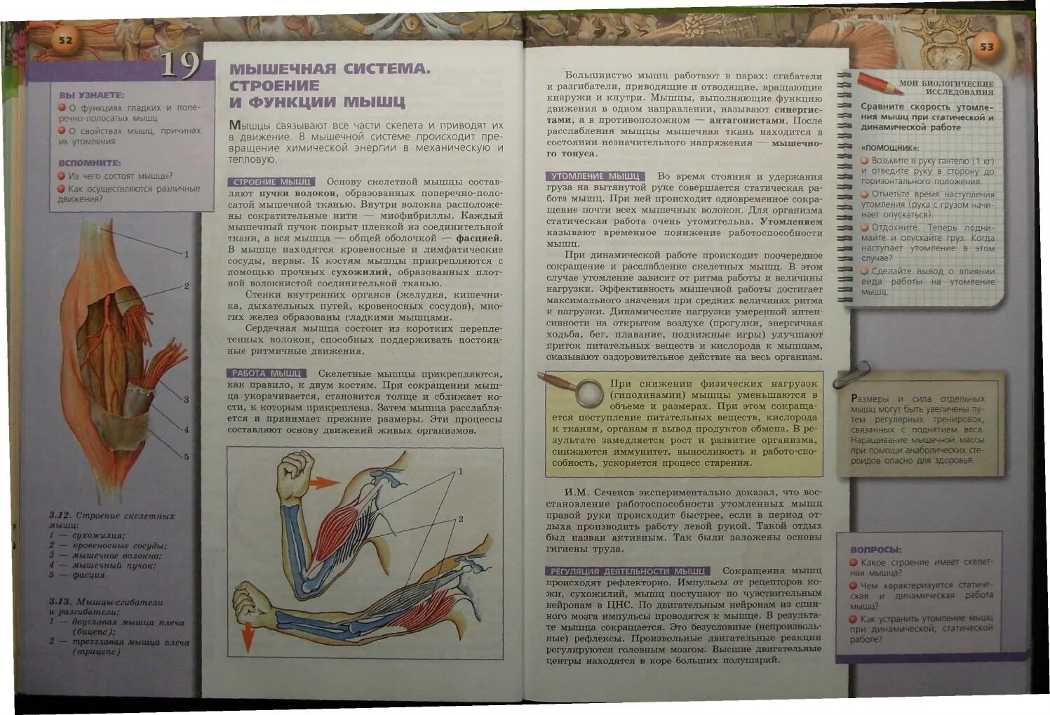 Па по биологии 8 класс. Биология 8 класс учебник сухорукова. учебник по биологии 8 класс сухорукова. работа мышц 8 класс биология. учебник по биологии 8 класс кучменко.