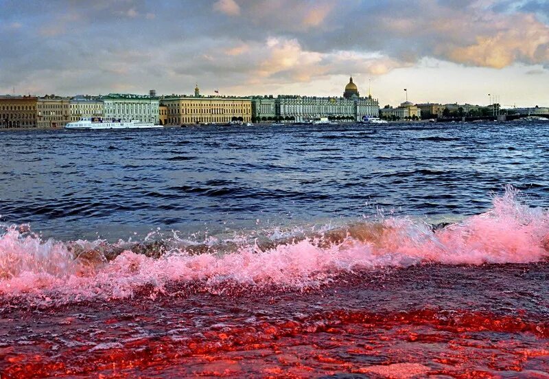 балтийское море в питере. река нева в санкт-петербурге. балтийское море под питером. город питер морре. санкт-петербург балтийское море.