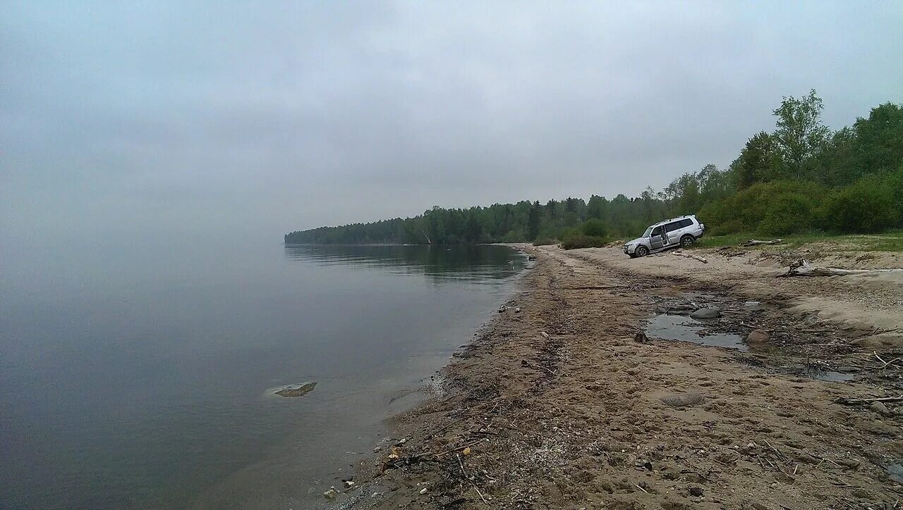 Рыбинка Рыбинское водохранилище. Бабарино Рыбинское водохранилище. Пляж Григорово Рыбинское водохранилище. Рыбинское водохранилище Гаютино.