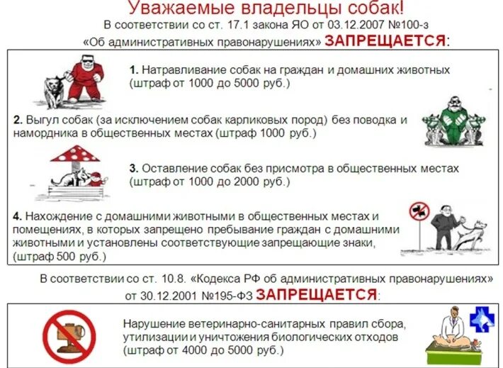 Содержание собак в городе. Нарушение правил содержания домашних животных. Памятка правила содержания собак. Закон о выгуле собак. Штраф за выгул собак в неположенном месте.